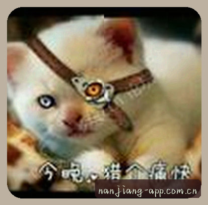 刘洋